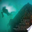 Perdu sous la banquise