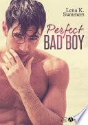Perfect Bad Boy (teaser)