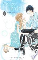 Perfect World -
