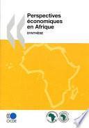Perspectives économiques en Afrique 2009 Synthèse
