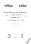 Perspectives nationales et internationales des droits sociaux