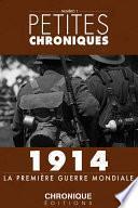 Petites Chroniques #1 : 1914 — La Première Guerre Mondiale