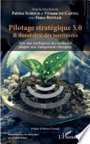 Pilotage stratégique 5.0 et durabilité des territoires