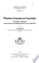 Plantation d'agrumes au Congo belge