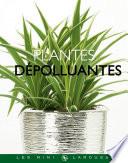 Plantes dépolluantes