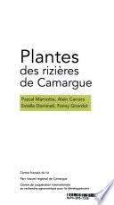 Plantes des rizières de Camargue