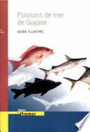 Poissons de mer de Guyane