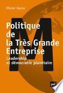 Politique de la Très Grande Entreprise