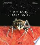 Portraits d'araignées