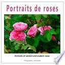 Portraits de roses