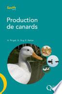 Production de canards