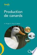 Production de canards
