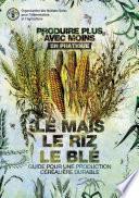 Produire plus avec moins en pratique: le maïs, le riz, le blé