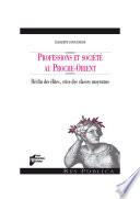 Professions et société au Proche-Orient
