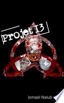 Projet 13