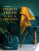 Projets tricot avec 2 pelotes
