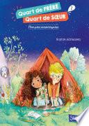 Quart de frère, quart de soeur - tome 2 : Mon pire anniversaire