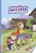 Qui sème la pagaille à Marcoz ?