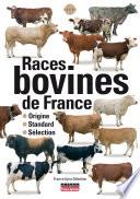 Races bovines de France