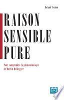 Raison sensible pure