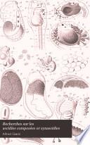 Recherches sur les ascidies composées or synascidies