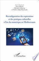 Reconfiguration des expressions et des pratiques culturelles à l'ère du