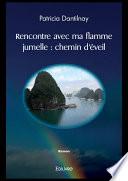 Rencontre avec ma flamme jumelle : chemin d'éveil