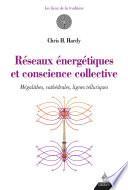 Réseaux énergétiques et conscience collective