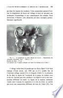 Revue des questions scientifiques