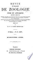 Revue et magasin de zoologie pure et appliquée