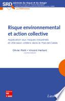 Risque environnemental et action collective