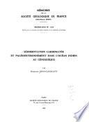 Sédimentation carbonatée et paléoenvironnement dans l'océan Indien au Cénozoïque
