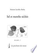 Sel et menthe séchée