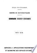 Séminaire Maurey-Schwartz