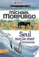 Seul sur la mer immense