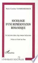Sociologie d'une représentation romanesque