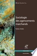 Sociologie des agencements marchands