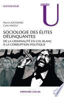 Sociologie des élites délinquantes