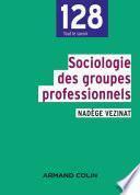 Sociologie des groupes professionnels
