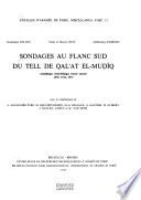 Sondages au flanc sud du Tell de Qalʼat el-Muḍīq