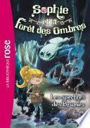 Sophie et la Forêt des Ombres 04 - Les spectres des Brumes