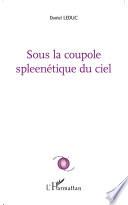 Sous la coupole spleenétique du ciel