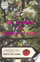 Sous la ramure des pommiers en fleurs : regards sur le passé, les monuments et les sites de la route du cidre