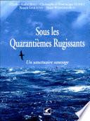 Sous les quarantièmes rugissants