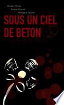 Sous un ciel de béton