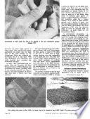 South Pacific Bulletin