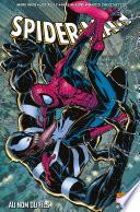 Spider-Man - Au nom du fils