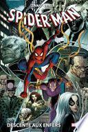 Spider-Man : Descente aux enfers