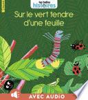Sur le vert tendre d'une feuille