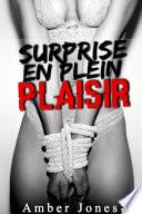 Surprise en Plein Plaisir